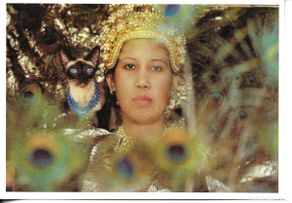 Postales: Damas y sus gatos. Lote de 3 postales fotográficas Alemanas. Edit. Taschen. Foto Tobert Vavra